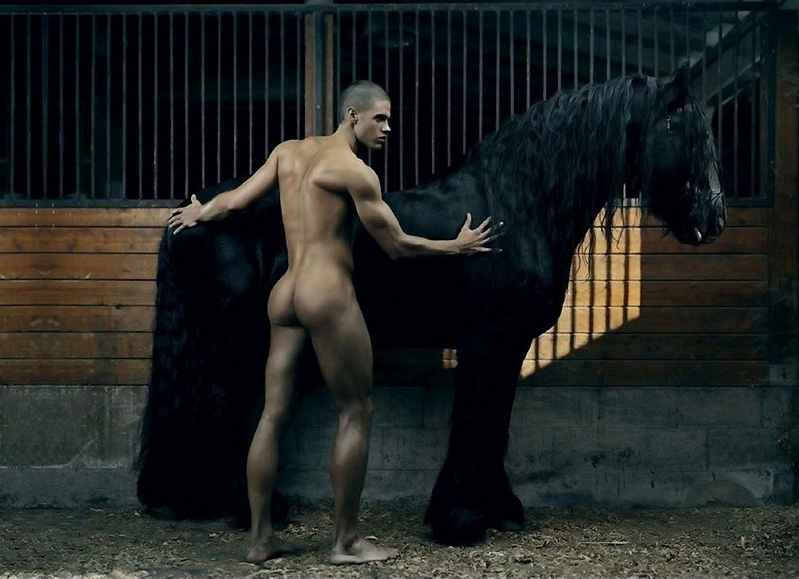 голый парень с черной лошадью, фото красивого мужчины