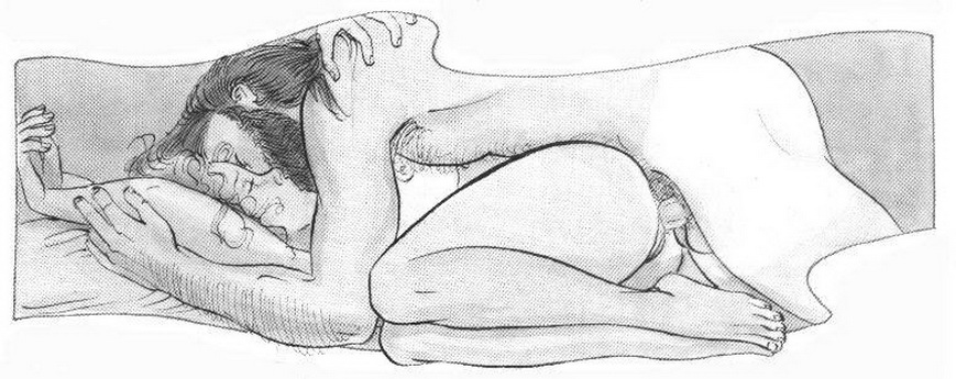 секс сзади на боку, картинка с эротическим рисунком