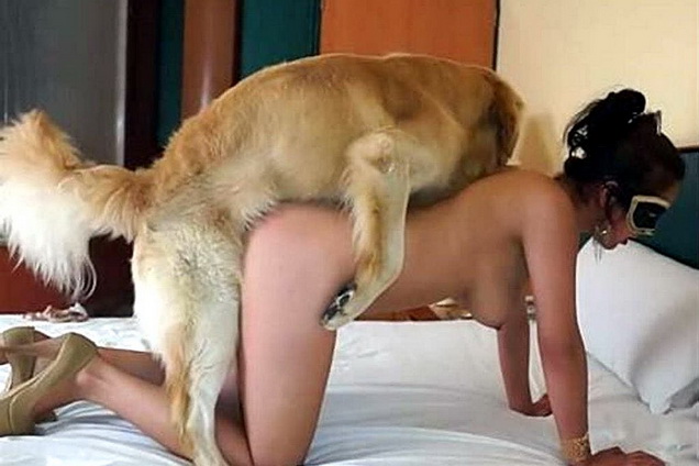 порно женщин с собаками фото 17