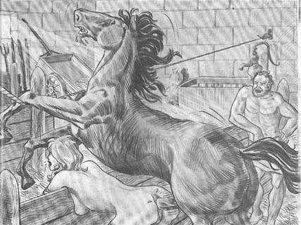 рабыню наказывают сексом с жеребуом на конюшне