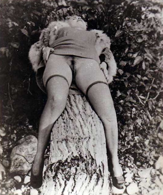 Женщина без трусов на стволе дерева 