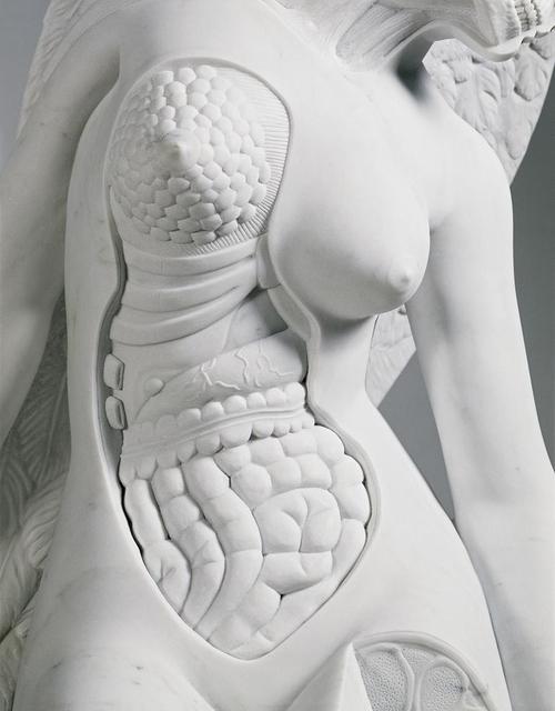 хороший скульптор должен хорошо знать анатомию, картинка порно прикол