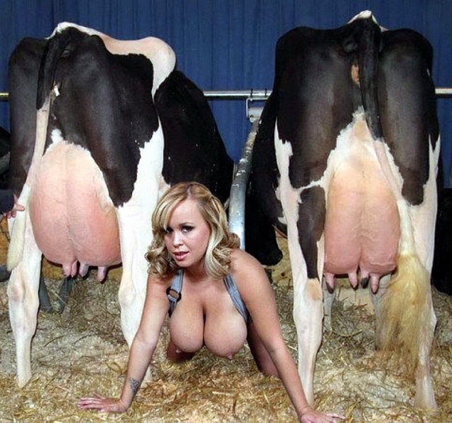 просто женское вымя среди коров секс прикол фото 14